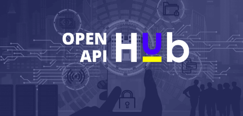 Open API HUB