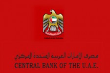 Центральный банк ОАЭ запустит электронный кошелек в 2015 году