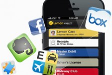Провайдер мобильных платежей Lemon создал платежную сеть Lemon Network