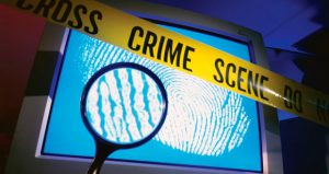 Кибермошенничество набирает обороты — Европол