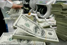 В Украине увеличилось количество фальшивой валюты