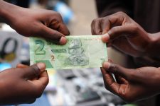 Аналог доллару: в Зимбабве выпустили собственную квазивалюту