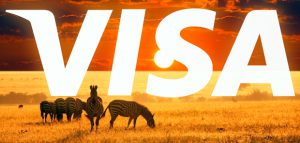 Visa покорит Африку быстрее, чем ожидалось