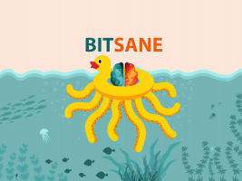 Биржа криптовалют Bitsane запускает поддержку Ethereum