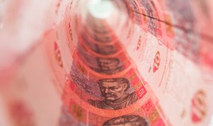 Гривна станет самой стабильной валютой мира в 2017 году — Bloomberg