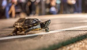 Доходы Mastercard разочаровали экспертов: с чем это связано