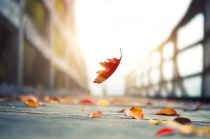 Курс биткоина снова рискует упасть ниже отметки в $1 тыс