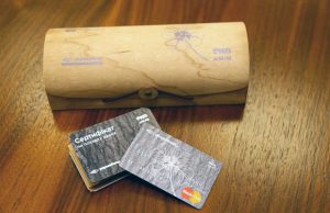 В Украине появилась первая экологически чистая платежная карта