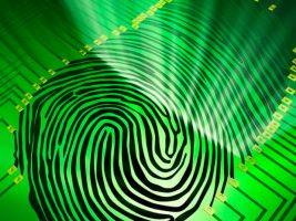 Приват24 запустил авторизацию отпечатками пальцев для Android-гаджетов