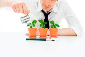 Кризис для стартапов: инвесторы не спешат вкладывать деньги