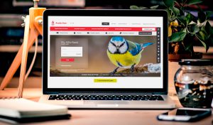 В интернет-банкинге My Alfa-Bank реализованы Р2Р переводы по номеру телефона