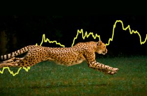 Курс биткоина достиг нового рекорда