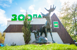 В одном из зоопарков Украины можно сделать пожертвование через QR-код