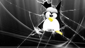 Вирус-вымогатель биткоинов добрался до пользователей ОС Linux