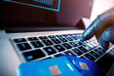 В одной из стран наблюдается рост онлайн-мошенничества с кредитными картами