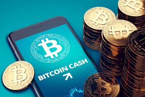 Более 900 ритейлеров по всему миру принимают Bitcoin Cash — данные Reddit