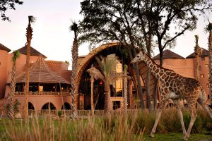 Один из курортов Walt Disney станет безналичным