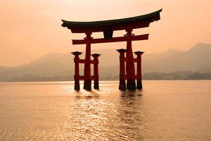 Еще одна страна начнет принимать заявления на визу онлайн