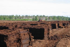 В мире могут выпустить первую криптовалюту, обеспеченную торфом