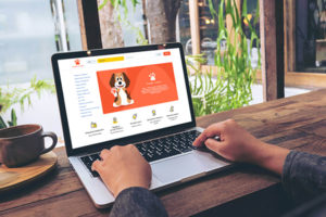 Покупка без риска: украинский маркетплейс запустил новую услугу