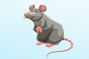 Крысы сгрызли более миллиона рупий, забравшись в банкомат