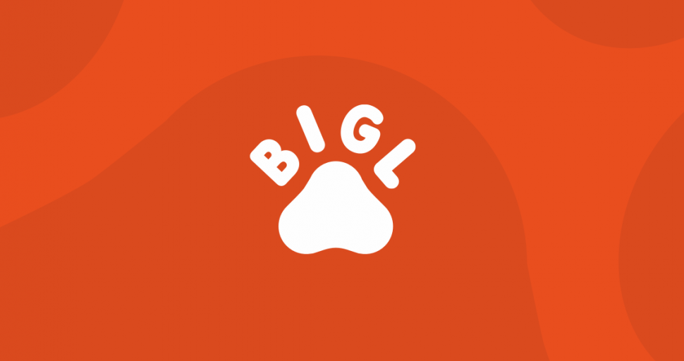 Bigl Ua Интернет Магазин Украина