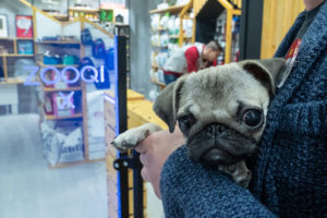 Закрылся первый в СНГ магазин без касс. Владелец назвал причину