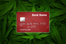 В США выпустили кредитку специально для покупки марихуаны