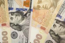 В Украине хотят сделать доллар США национальной валютой