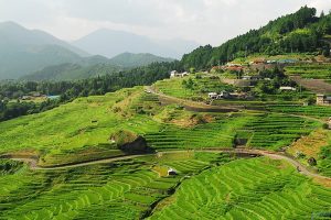 На одном из популярных курортов мира появится своя криптовалюта