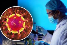 Прорыв в борьбе с COVID-19: в США создали уникальные тесты на коронавирус