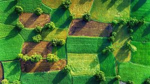 Рада открыла рынок земли в Украине: все о новом законе