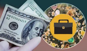 Кому кризис, а кому – успех: названы самые успешные отрасли помимо онлайн-ритейла