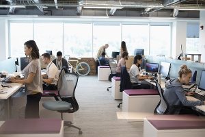 В Украине ввели штрафы за неоформленных сотрудников: какой бизнес начнут проверять первым