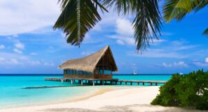 Более 50 стран открыли границы для украинцев: перечень