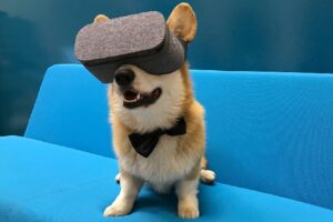 Google більше не підтримує Daydream VR