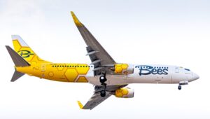 Стало известно, куда сможет летать новый украинский лоукостер