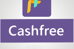 Госбанк Индии инвестирует в развитие местной платежной системы Cashfree