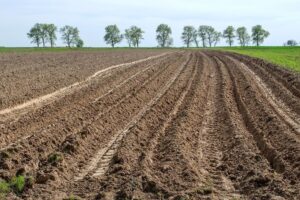 Как снятие моратория на продажу паев скажется на рынке кредитования: ТОП-5 тезисов