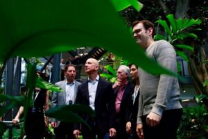 Сколько денег выделит экологический фонд Джеффа Безоса на природоохранную деятельность?