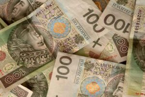 Польський злотий витримав удар, завданий російсько-українською політичною кризою