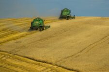 Міністр агрополітики: До 2030 року Україна зможе забезпечити продовольством 1 млрд людей у ​​світі