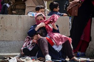 СОТ: війна в Україні може спричинити глобальну нестачу продовольства