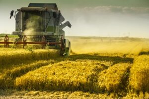 ПриватБанк почав видавати пільгові кредити для посівної кампанії