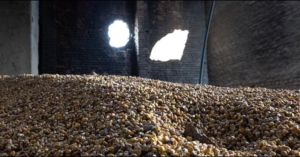 Великобританія та союзники планують відправити військові кораблі до Чорного моря для прориву блокади Росії та експорту зерна