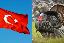 Туреччина офіційно змінює свою міжнародну назву