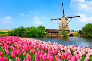 Біженці зможуть обмінювати готівкові гривні у банках Нідерландів