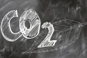 Google залучає FinTech-компанії до боротьби за здорову екологію