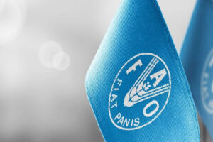 В Украине откроют офис Продовольственной организации ООН