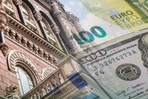 Чи можливий перехід на гнучкий курс валют: скільки НБУ інвестує в гривню